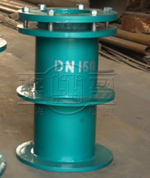 <a href=http://www.jyhyou.com.cn target=_blank class=infotextkey>雙球體橡膠接頭</a>實(shí)圖